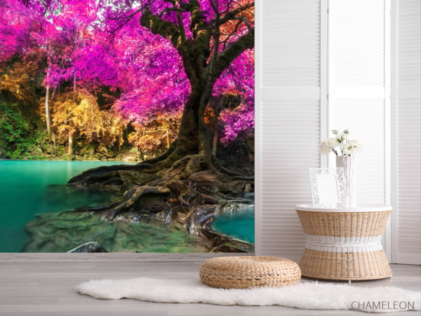 Фотошпалери Дерево - 2