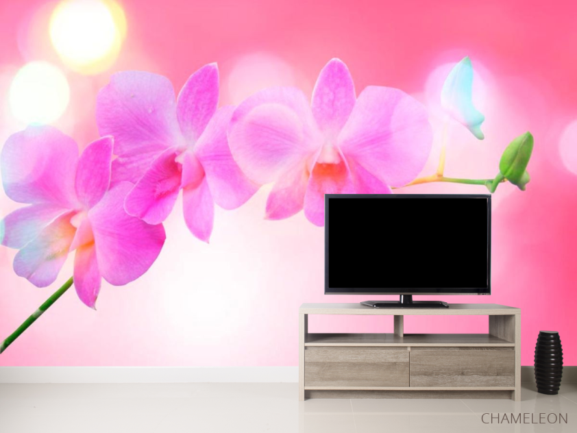 Фотообои Бледно-розовые цветы - 2