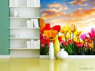 Фотообои Тюльпаны в закате - 3