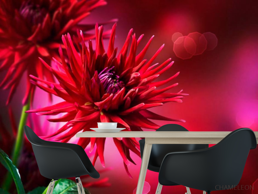 Фотообои Астры алые - 1