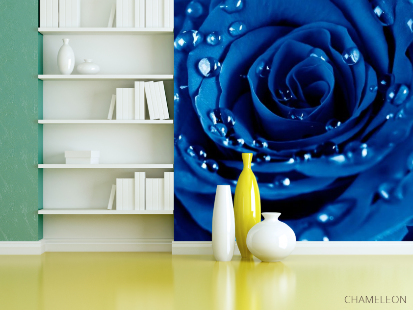 Фотошпалери Роза яскраво-синя - 3