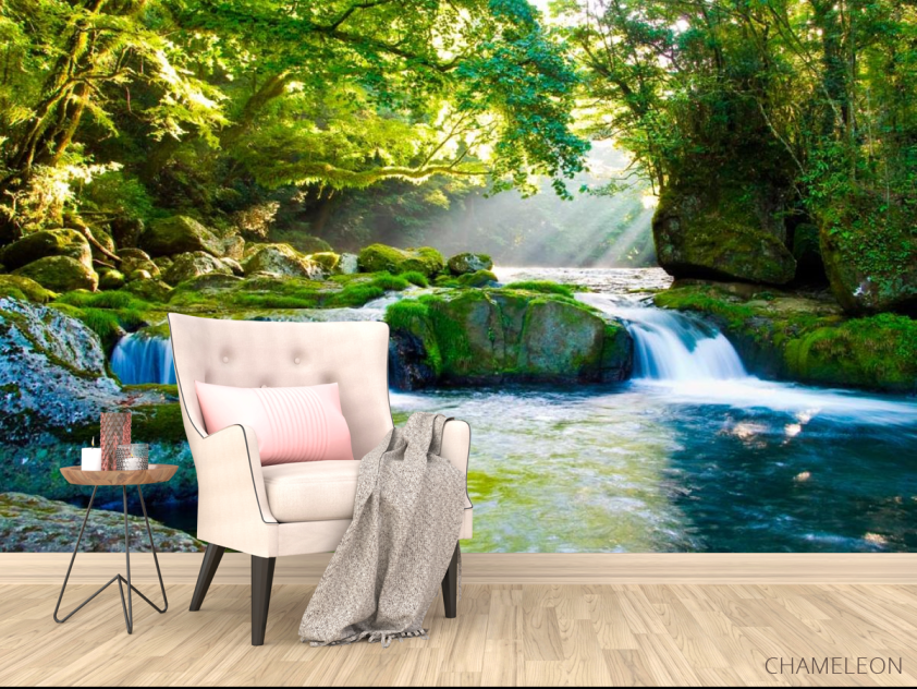 Фотообои Дивный уголок леса - 4