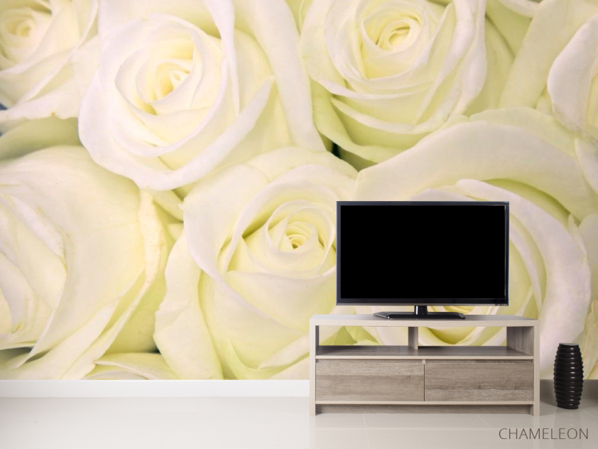 Фотообои Розы белоснежного оттенка - 2