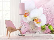 Фотошпалери Дві білі орхідеї - 4