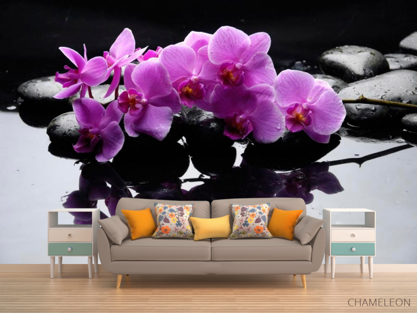Фотообои Ветка орхидеи на камнях - 1