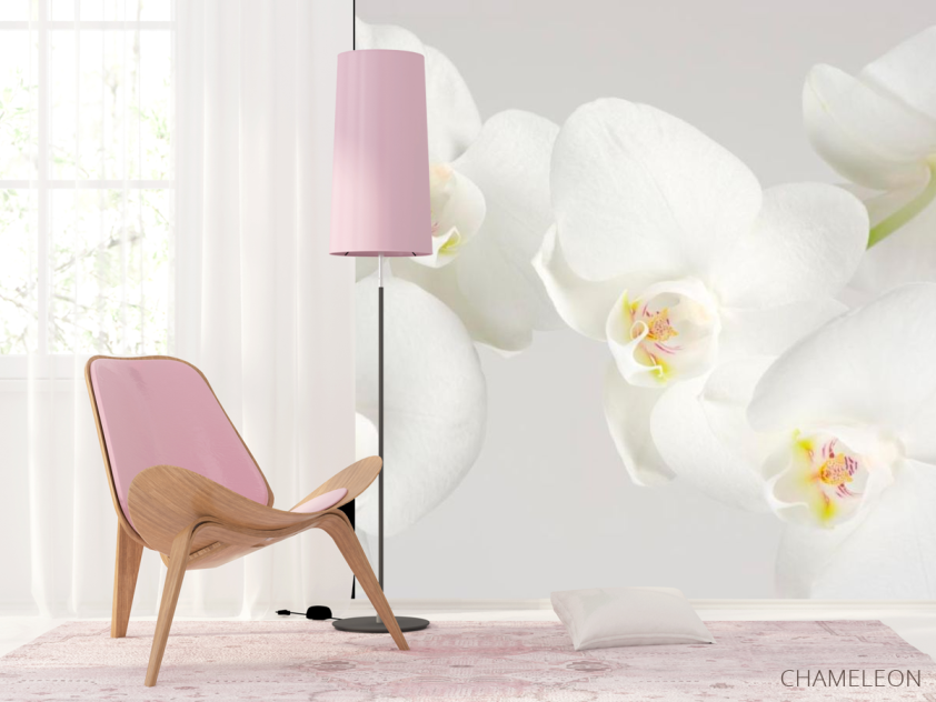 Фотошпалери Орхідеї білосніжні цвітуть - 4