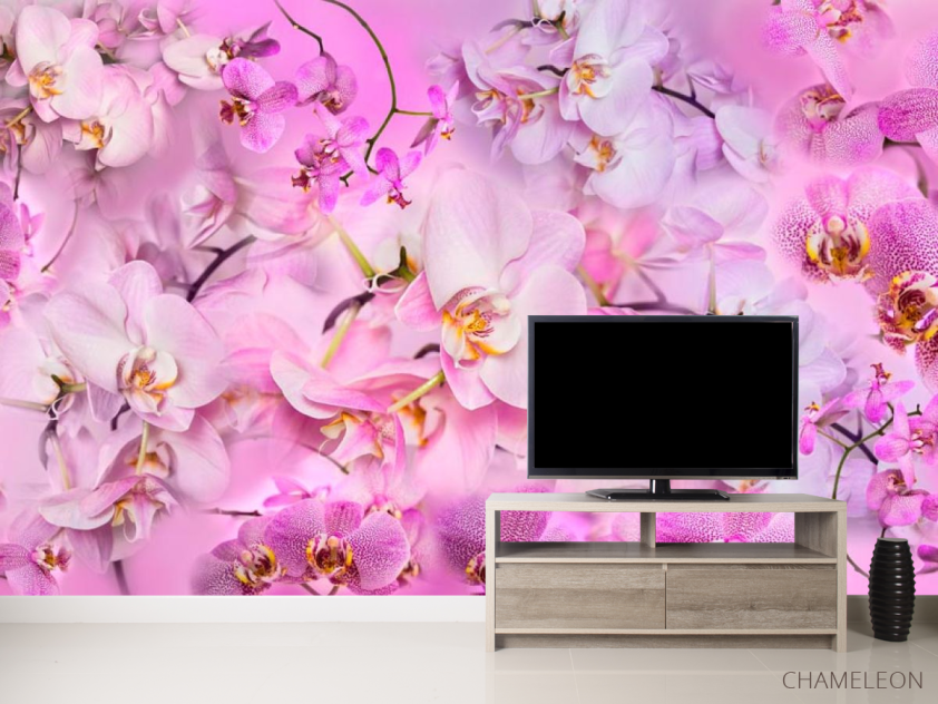 Фотообои Дизайнерская коллекция - 2