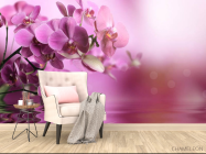 Фотообои орхидеи - 4