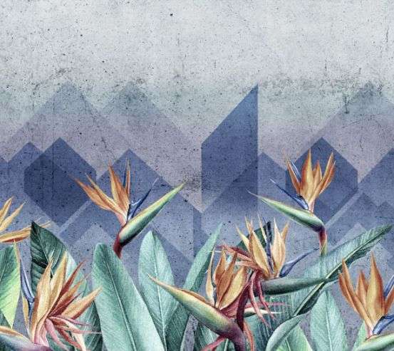 Фотообои Стрелиция дизайнерская Фотообои Стрелиция дизайнерская 33321