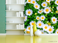 Фотошпалери ромашки і зелень - 3