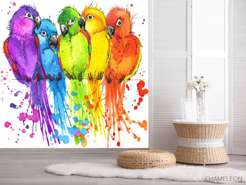 Фотошпалери п'ять різнокольорових папуг малюнок - 2
