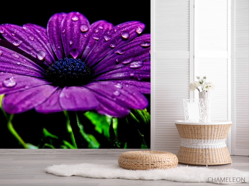 Фотошпалери Фіолетовий квітка - 2