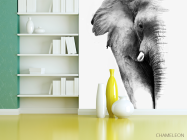Фотошпалери Слон - 3