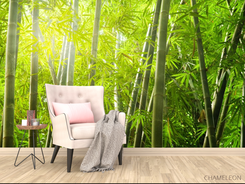 Фотообои бамбуковый лес - 4