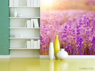 Фотошпалери поле квіточок - 3