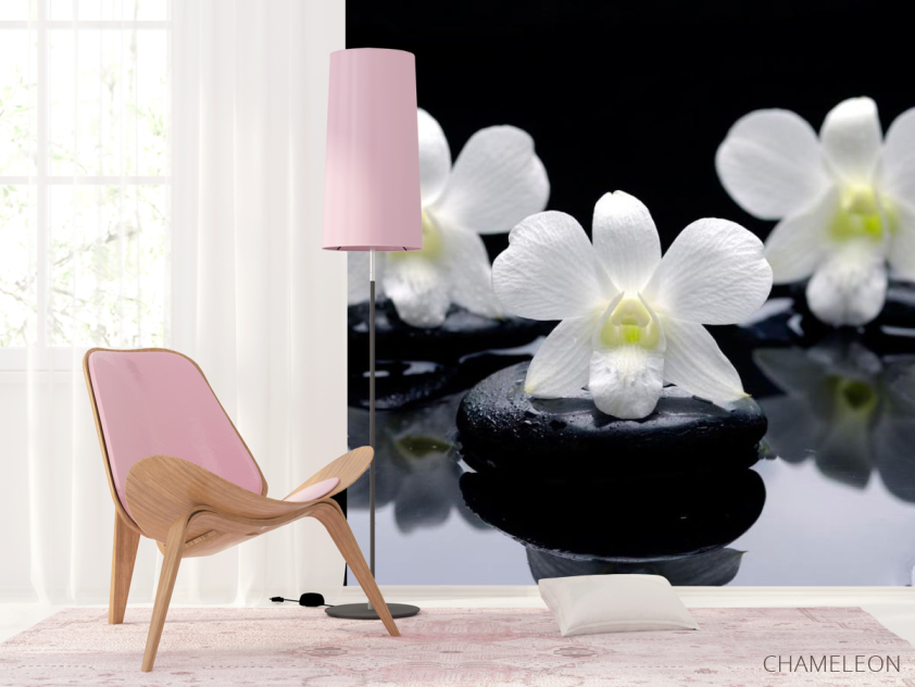 Фотошпалери Білі орхідеї на каменях - 4