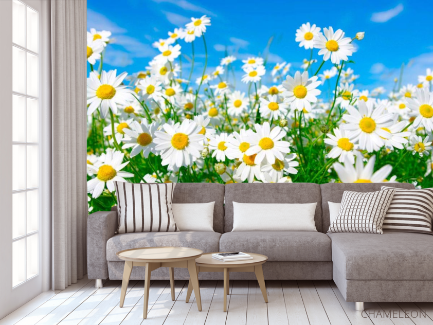 Фотообои Ромашки в степи - 3