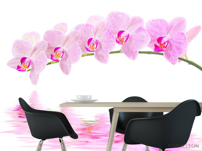 Фотошпалери Відображення орхідей - 1