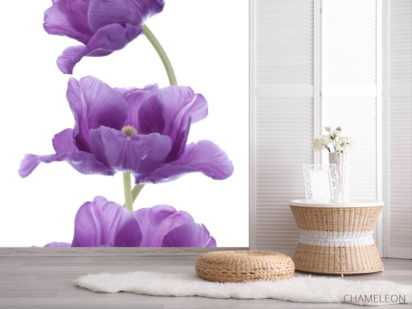 Фотошпалери фіолетові тюльпани - 2