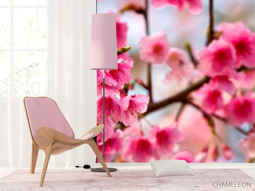 Фотошпалери Дерево з рожевими ветами - 4