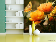 Фотошпалери метелик на квітах - 3