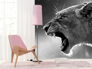 Фотошпалери дика кішка - 4