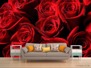 Фотообои Букет роз алого цвета - 1