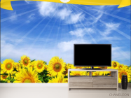 Фотообои в школу - 2