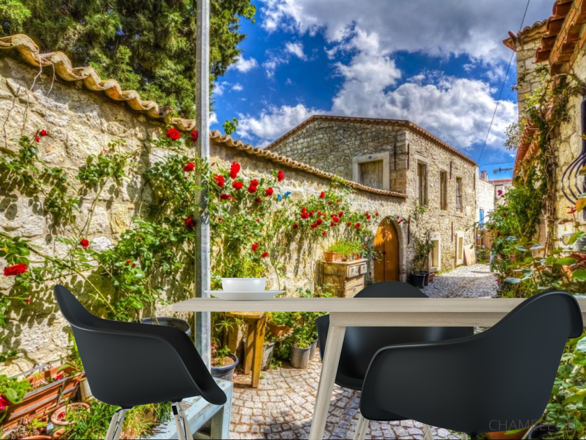 Фотошпалери провулок з трояндами - 1