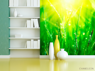 Фотошпалери На траві роса - 3