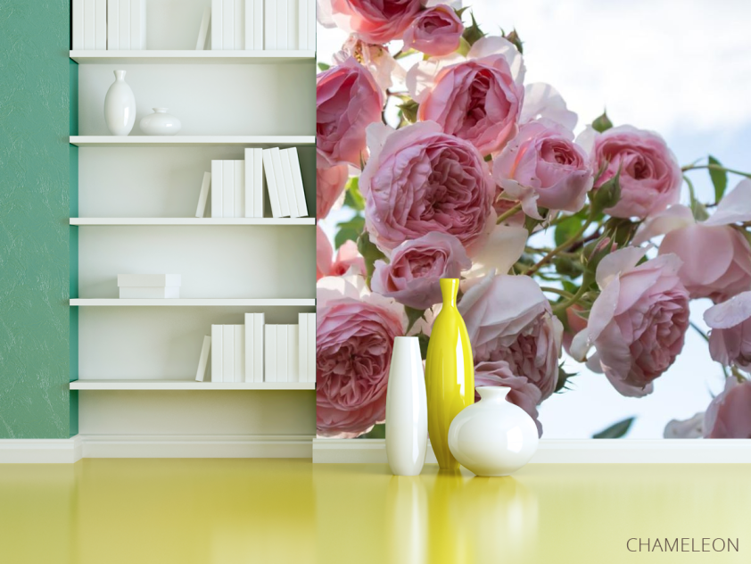 Фотошпалери великі рожеві бутони - 3