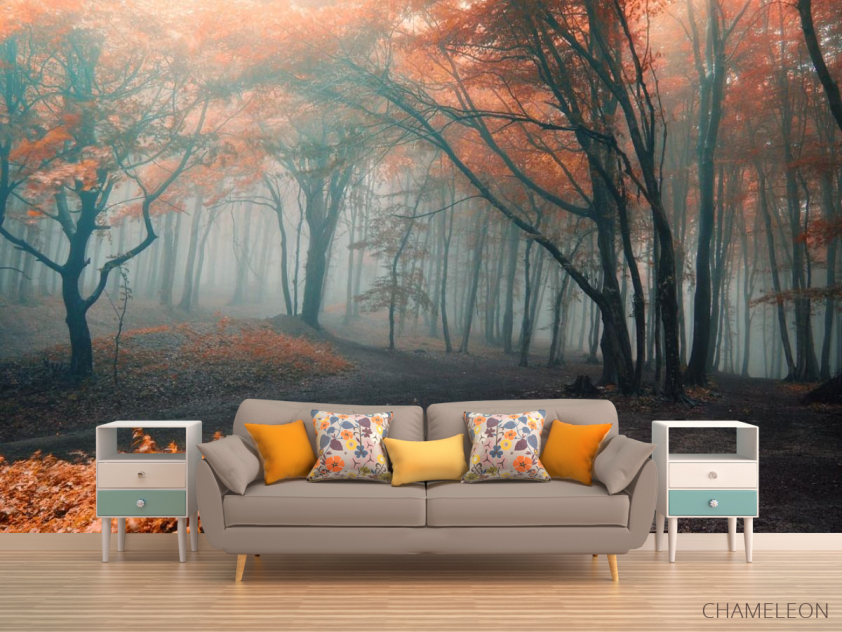 Фотообои осенний лес - 1