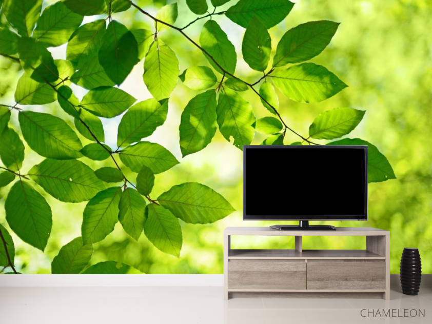 Фотообои зеленые листья на дереве - 2