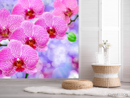 Фотообои Орхидеи распустились розовые - 2