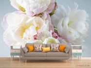 Фотообои Пионы белые - 1