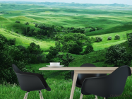 Фотошпалери Нескінченний луг - 1