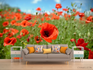 Фотообои маковое поле - 1