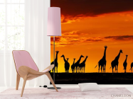 Фотошпалери багато жирафів і захід - 4