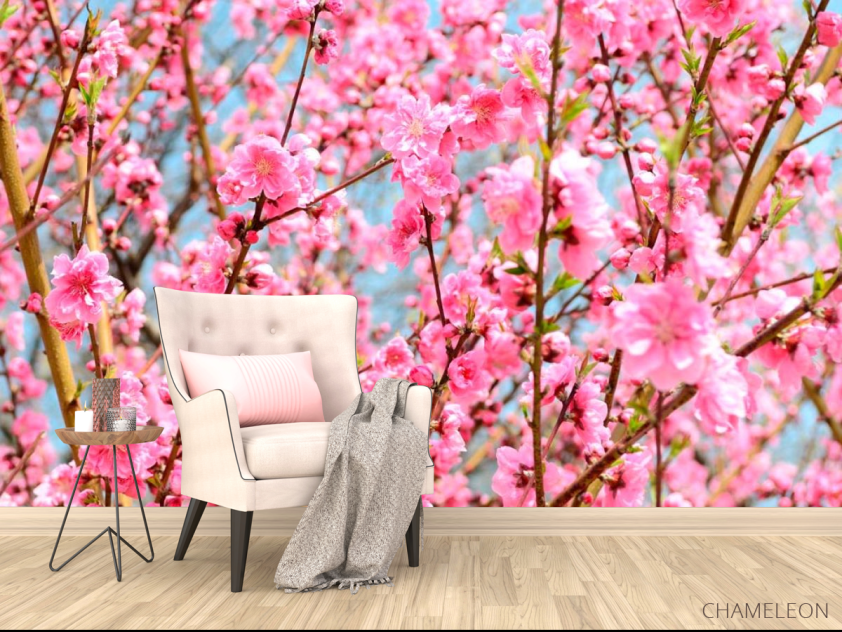 Фотообои Кипарис розовый - 4