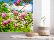 Фотошпалери магнолії рожеві на деревах - 2