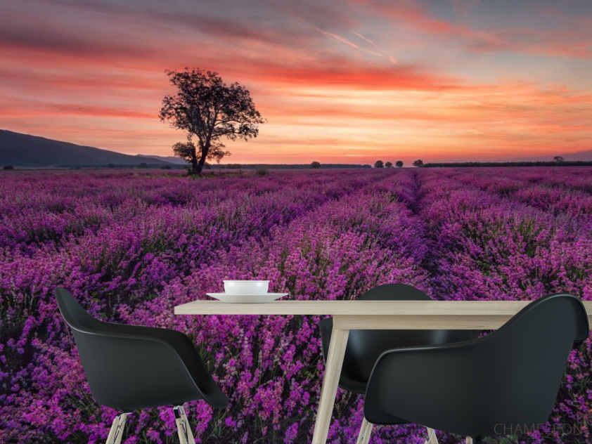 Фотошпалери бузкове поле і рожевий захід - 1