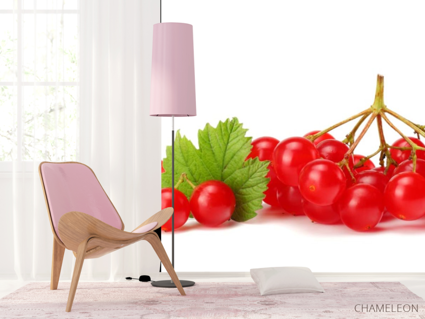 Фотошпалери калина - 4