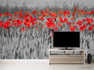 Фотообои Красные маки на чб фоне - 2