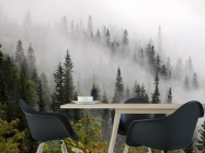 Фотошпалери Туманний ліс - 1