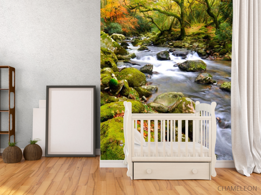 Фотообои Камни, мох - 2