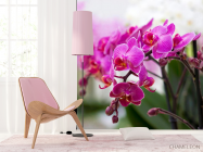 Фотообои Орхидеи соцветие - 4