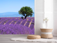 Фотошпалери бузкове полі - 2