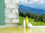 Фотошпалери Гірський пейзаж - 3