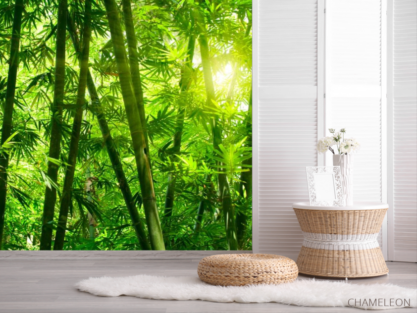 Фотошпалери Тропічна зелень - 2