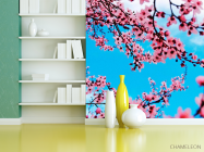 Фотошпалери Квітуча навесні вишня - 3